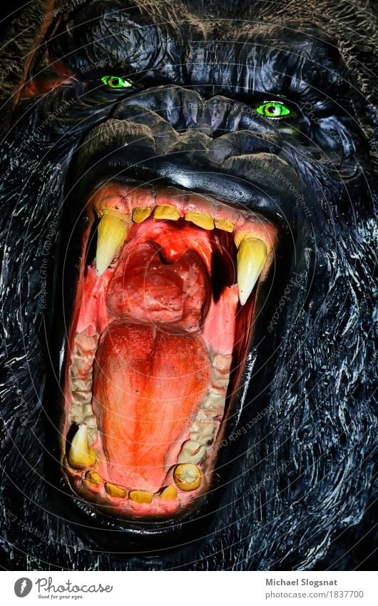 Gorillamodell Wildtier Tiergesicht 1 Puppe Kunststoff Aggression außergewöhnlich bedrohlich dunkel gruselig wild Wut schwarz Gefühle Tapferkeit selbstbewußt