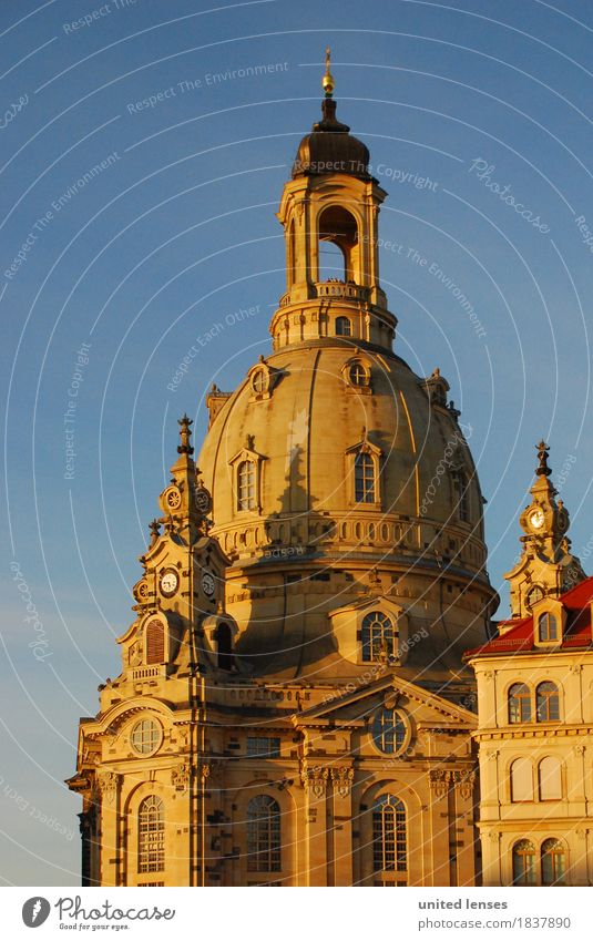 DR# Frauenzimmer Kunst ästhetisch Dresden Frauenkirche historisch Historische Bauten Geschichtsbuch Vergangenheit Wahrzeichen Sehenswürdigkeit Tourismus