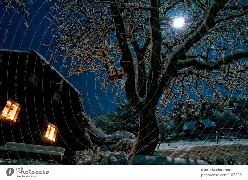 Vollmond Nacht Licht Weitwinkel Freizeit & Hobby Ferien & Urlaub & Reisen Nachthimmel Stern Mond Winter Hütte Fenster blau Energie Geborgenheit Baum Himmel