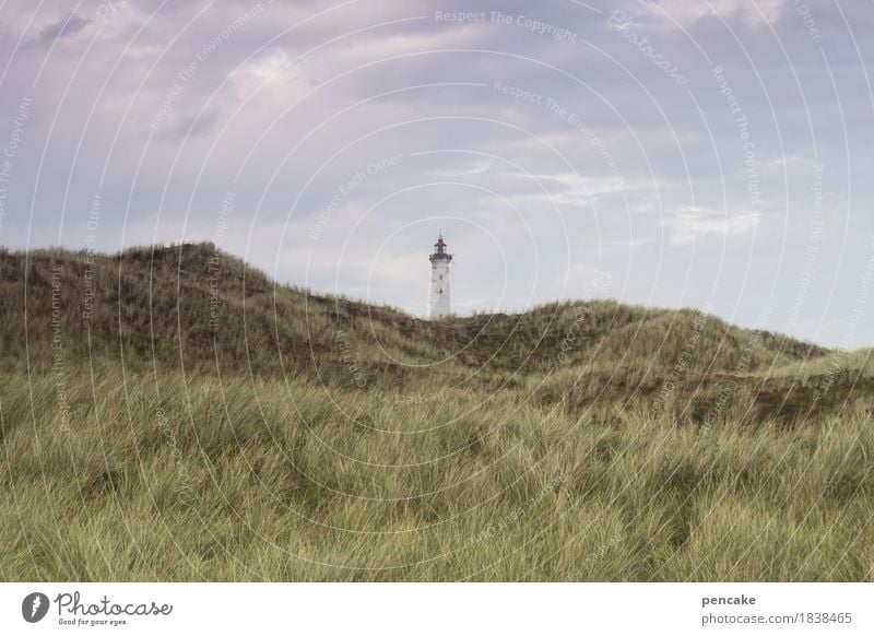 über den tellerrand Natur Landschaft Urelemente Sand Himmel Gras Nordsee Stimmung Vorfreude Vertrauen friedlich Gelassenheit ruhig Sehnsucht Dänemark Dünengras