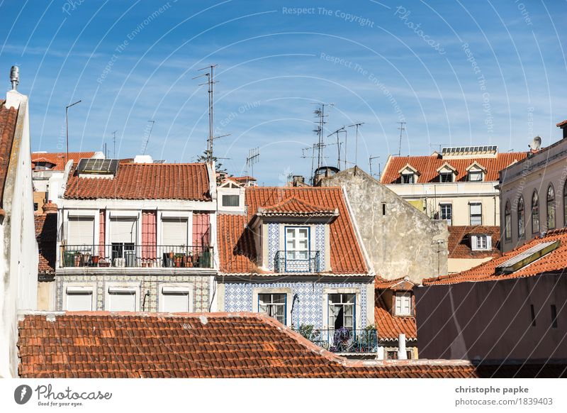 Die andere Seite von Bairro Alto Ferien & Urlaub & Reisen Sightseeing Städtereise Sommer Schönes Wetter Wärme Lissabon Portugal Stadt Hauptstadt Altstadt Haus