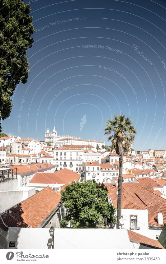 Oh wie schön ist Lissabon Ferien & Urlaub & Reisen Tourismus Ausflug Freiheit Sightseeing Städtereise Sommer Sommerurlaub Sonne Wolkenloser Himmel