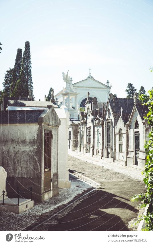 Friedhof der Freuden Ferien & Urlaub & Reisen Ausflug Sightseeing Städtereise Sommer Sommerurlaub Architektur Lissabon Portugal Stadt Hauptstadt Stadtrand