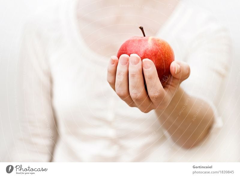 Empfehlung Lebensmittel Frucht Apfel Ernährung Bioprodukte Vegetarische Ernährung Mensch feminin Junge Frau Jugendliche Körper Arme Hand Finger 1 18-30 Jahre