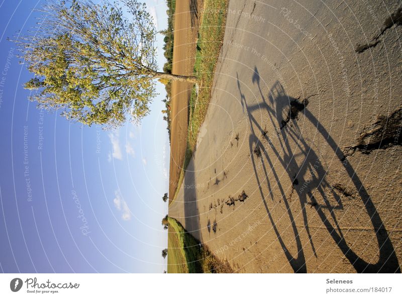 Verkehr (t) Farbfoto Außenaufnahme Menschenleer Textfreiraum links Tag Schatten Kontrast Lichterscheinung Sonnenlicht Freizeit & Hobby Ausflug Fahrradfahren