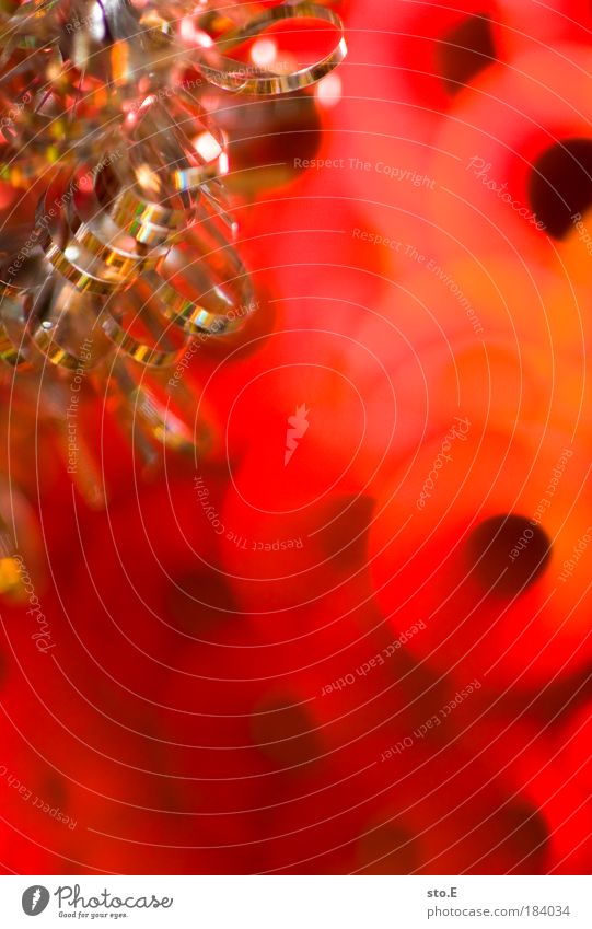 weihnachtskarte Farbfoto Innenaufnahme Nahaufnahme Detailaufnahme Makroaufnahme abstrakt Muster Strukturen & Formen Kunstlicht Blitzlichtaufnahme Licht Schatten