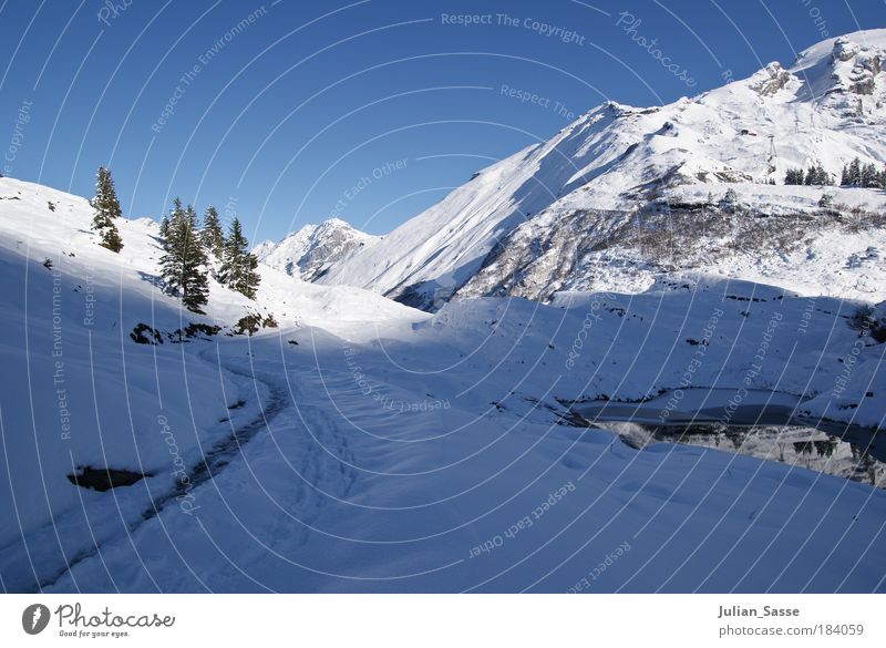 Winter in den Bergen Außenaufnahme Umwelt Landschaft ästhetisch Schnee Berge u. Gebirge Schweiz Engelberg Schatten Sonne Blauer Himmel Tanne See Wasser