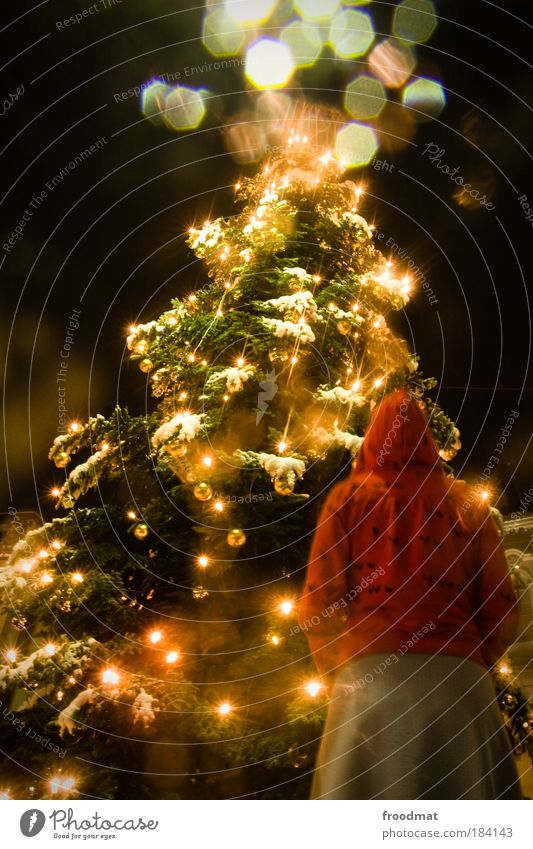ja is scho wieder weihnachten Farbfoto mehrfarbig Außenaufnahme Abend Nacht Kunstlicht Licht Langzeitbelichtung Oberkörper Rückansicht Blick nach vorn Mensch
