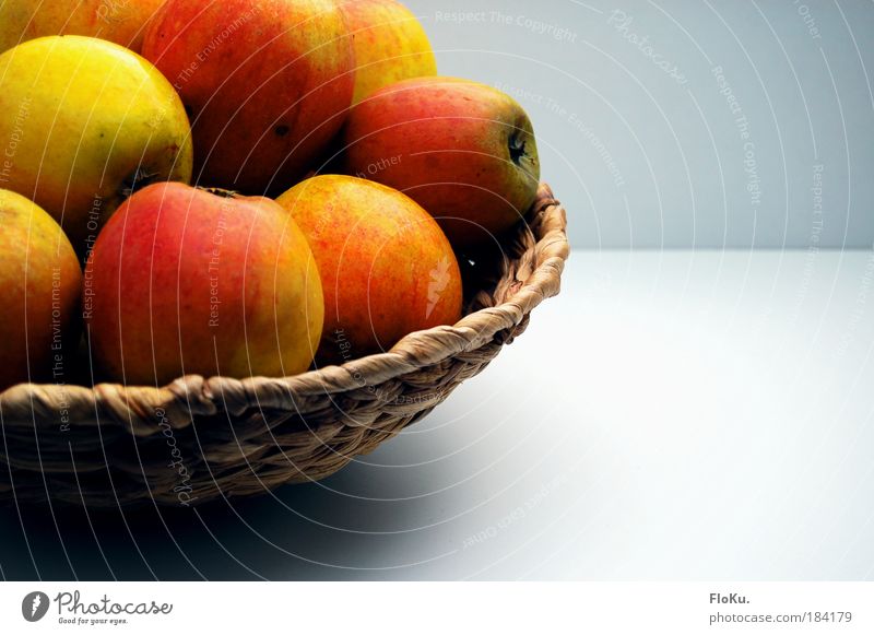 Apfelkorb Farbfoto Innenaufnahme Menschenleer Textfreiraum rechts Hintergrund neutral Tag Kontrast Sonnenlicht Lebensmittel Frucht Ernährung Bioprodukte