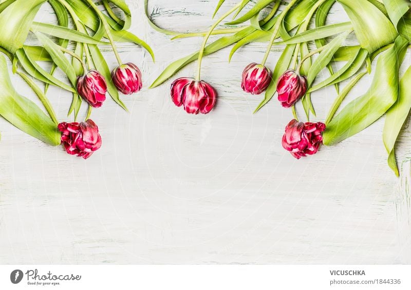 Tulpen auf weißem Holz Hintergrund Stil Design Dekoration & Verzierung Feste & Feiern Muttertag Geburtstag Natur Pflanze Frühling Blatt Blüte Blumenstrauß