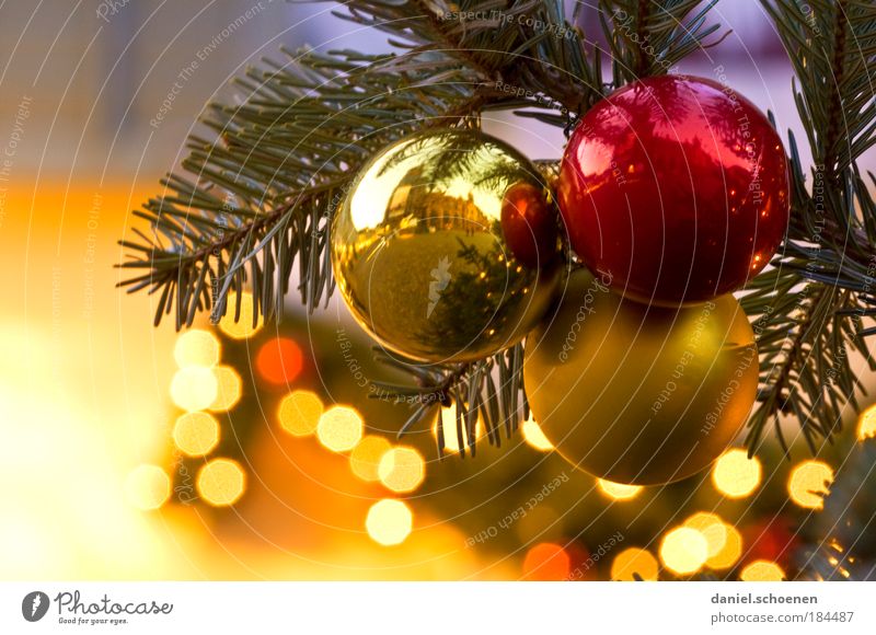 Hauptsache viel Gold am Baum Detailaufnahme Dämmerung Dekoration & Verzierung Vorfreude Christbaumkugel Licht Kugel Tanne Weihnachtsbaum Weihnachten & Advent