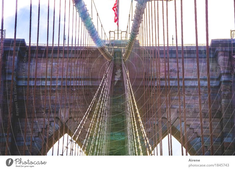 mainstream New York City USA Hauptstadt Stadtzentrum Menschenleer Brücke Sehenswürdigkeit Wahrzeichen Brooklyn Bridge Stein Stahl Linie Netzwerk festhalten