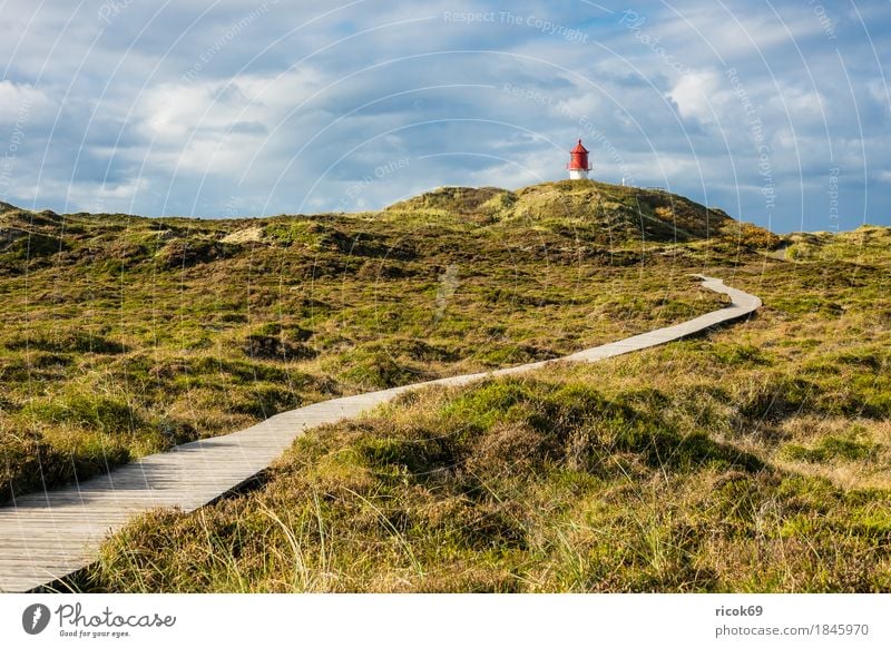 Leuchtturm in Norddorf auf der Insel Amrum Erholung Ferien & Urlaub & Reisen Tourismus Natur Landschaft Wolken Herbst Küste Nordsee Architektur Sehenswürdigkeit