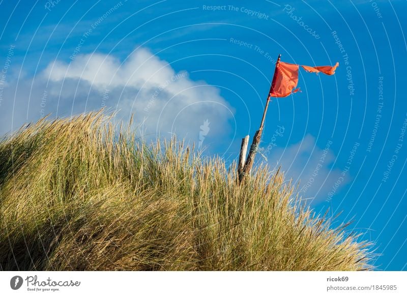 Landschaft mit Dünen auf der Insel Amrum Erholung Ferien & Urlaub & Reisen Tourismus Strand Meer Natur Sand Wolken Herbst Küste Nordsee Fahne blau gelb