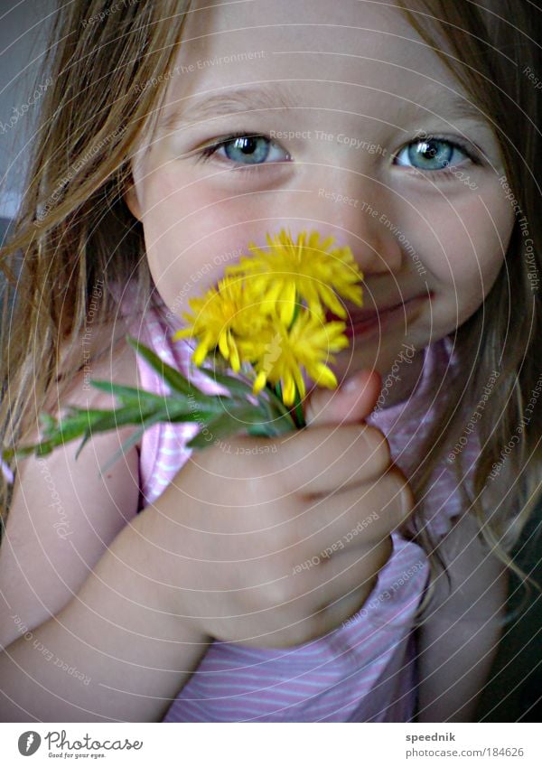 »Papa, alles Gute zum Muttertag« Porträt Blick Kind Mädchen Kindheit Kopf Haare & Frisuren Gesicht Auge 1 Mensch 3-8 Jahre Blume Blühend Duft Lächeln leuchten