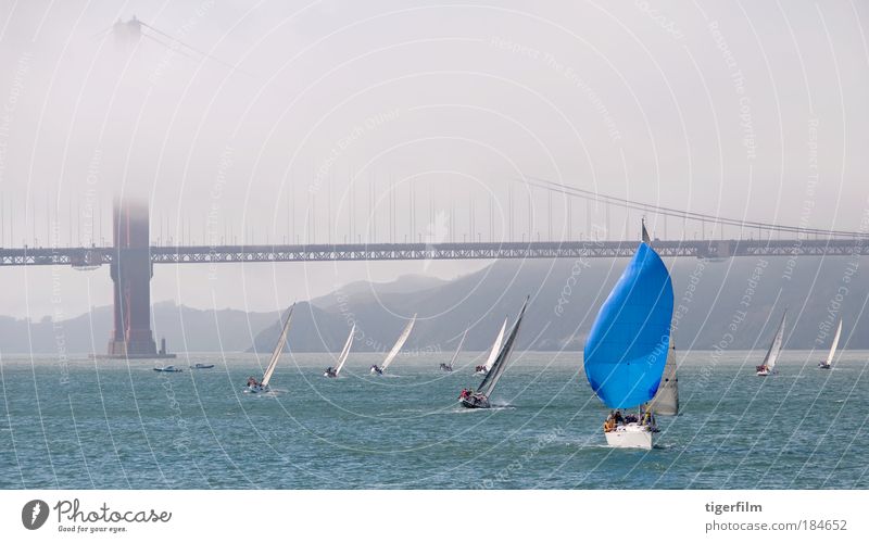 Segelboot in der Bucht von San Francisco Farbfoto Außenaufnahme Textfreiraum oben Tag Panorama (Aussicht) Kreuzfahrt Segeln Sommer Nebel Hafenstadt Brücke