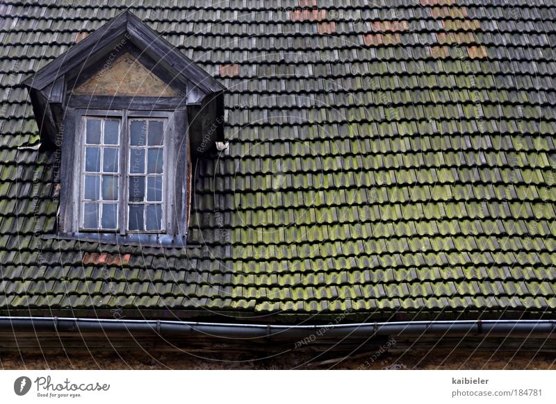 leichter Dachschaden Mägdesprung Dorf Haus Bauwerk Gebäude Architektur Fenster Dachrinne Dachgaube Dachziegel Schindeldach alt historisch kaputt braun grün rot