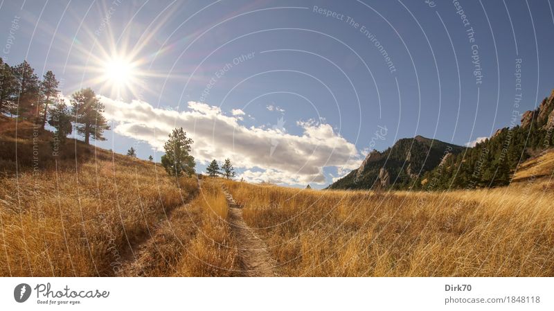 Colorado-Panorama: Herbstliche Wiesen und Berge Ferien & Urlaub & Reisen Ferne Freiheit wandern Natur Landschaft Wolken Sonne Sonnenlicht Schönes Wetter Wärme