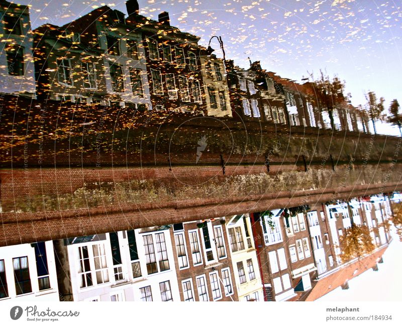 Nicht alles gold, was glänzt. Städtereise Haus Wasser Himmel Herbst Blatt Flussufer Middelburg Niederlande Hafenstadt Gebäude Architektur alt glänzend
