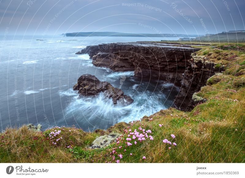 Zwischen innen und außen Landschaft Himmel Wolken Horizont Wetter schlechtes Wetter Wiese Felsen Wellen Küste Meer Insel Republik Irland maritim schön blau