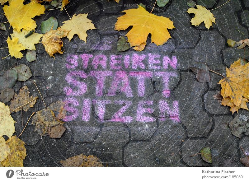 STREIKEN STATT SITZEN Herbst Blatt Stadt Straße Stein Beton braun gelb grau Macht Mut Tatkraft Zusammenhalt Graffiti Wege & Pfade Strassenbild Parole