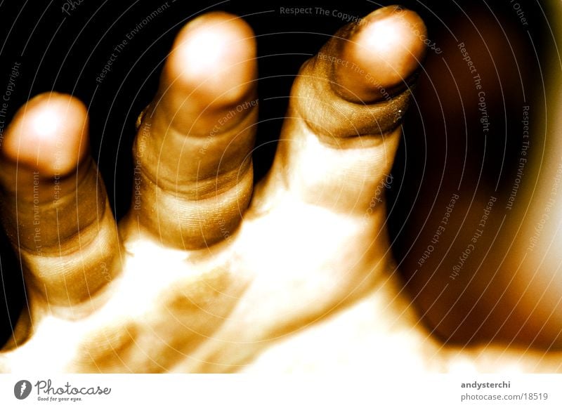 Kralle Hand Finger Jahresringe Mensch Falte Haut fangen Sepia Abdruck Fingerabdruck