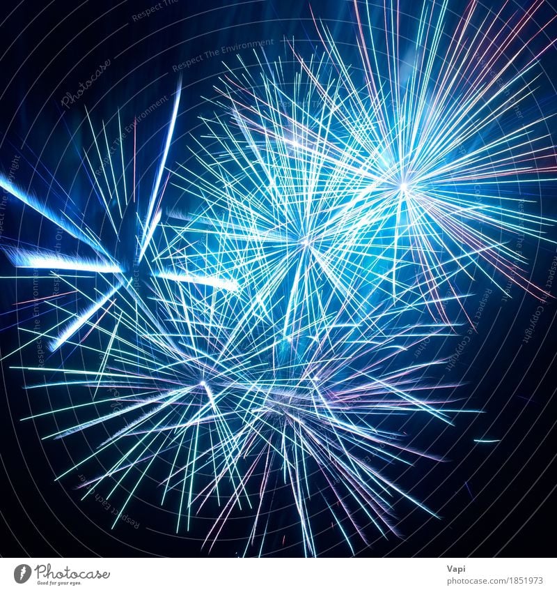 Blaue bunte Feuerwerke auf dem schwarzen Himmel Design Freude Dekoration & Verzierung Nachtleben Entertainment Party Veranstaltung Feste & Feiern