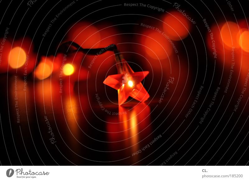 xmas Dekoration & Verzierung Veranstaltung Weihnachten & Advent Kitsch Krimskrams Zeichen Stern (Symbol) leuchten ästhetisch dunkel rot schwarz Gefühle Stimmung