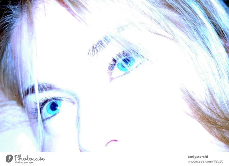 Blaue Augen blond Weißabgleich weiß Frau Haare & Frisuren Gesicht Nase