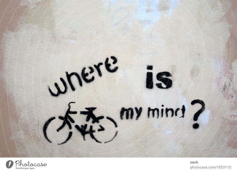 berechtigte Frage Gehirn u. Nerven Verstand Fragen Stadt Suche Fahrrad Fahrradfahren Stadtzentrum Mauer Wand Fassade Zeichen Schriftzeichen