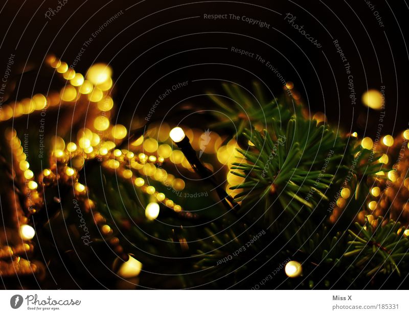 Noch ein Weihnachtsfoto elegant Stil Basteln Dekoration & Verzierung Feste & Feiern Winter Baum Blatt Ornament leuchten glänzend hell schön Wärme mehrfarbig