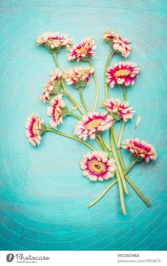 Schöner Blumenstrauß auf blauem Hintergrund Stil Design Dekoration & Verzierung Feste & Feiern Valentinstag Muttertag Geburtstag Natur Pflanze Frühling Sommer