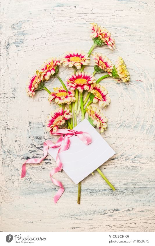 Hübsche Blumenstrauß mit Grußkarte und rosa Schleife elegant Stil Design Dekoration & Verzierung Feste & Feiern Valentinstag Muttertag Geburtstag Natur Pflanze