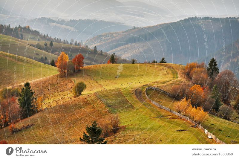 Herbst Bergpanorama. Oktober auf Karpatenhügeln Ferien & Urlaub & Reisen Tourismus Abenteuer Ferne Berge u. Gebirge Haus Umwelt Natur Landschaft Schönes Wetter