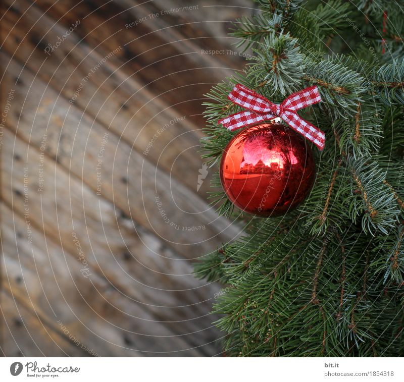 Weihnachtszweig Feste & Feiern Weihnachten & Advent Dekoration & Verzierung Schleife glänzend grün rot Holz Holzwand Zweige u. Äste Kugel Christbaumkugel