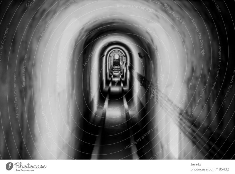 Das Innere eines Zebras Leitung Tunnel Mauer Wand Platzangst lang Ferne Ausbruch Fluchtlinie schmal eng Hoffnung Zukunft gestreift Gemäuer Wege & Pfade