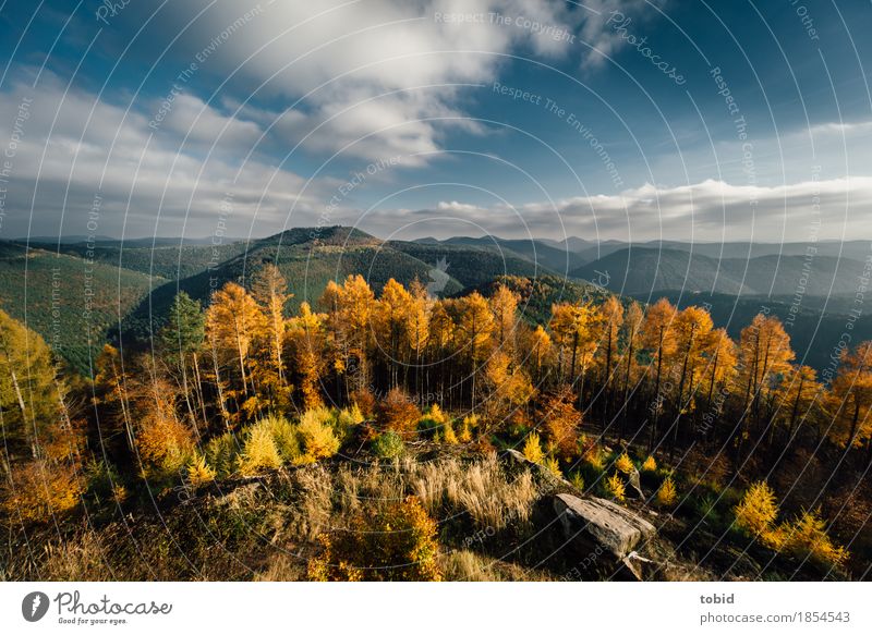 Herbstlich Natur Landschaft Pflanze Himmel Wolken Horizont Sonne Schönes Wetter Baum Gras Sträucher Wald Hügel Felsen Berge u. Gebirge Unendlichkeit Einsamkeit