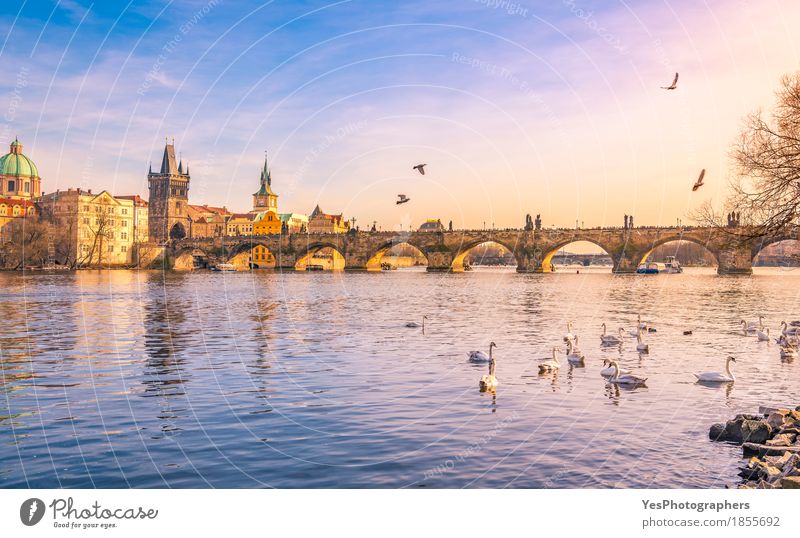Prag Stadt und Vltava (Moldau) bei Sonnenuntergang Freude Ferien & Urlaub & Reisen Tourismus Ausflug Sightseeing Städtereise Kultur Natur Fluss Hauptstadt