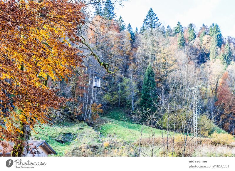 seilbahn Natur Landschaft Herbst Wald Alpen Seilbahn fahren Ferien & Urlaub & Reisen Partnachklamm Garmisch-Partenkirchen Farbfoto Außenaufnahme Menschenleer