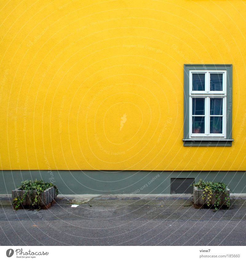 Textfreiraum Herbst Pflanze Efeu Grünpflanze Haus Einfamilienhaus Mauer Wand Fassade Fenster Straße Wege & Pfade authentisch außergewöhnlich Freundlichkeit