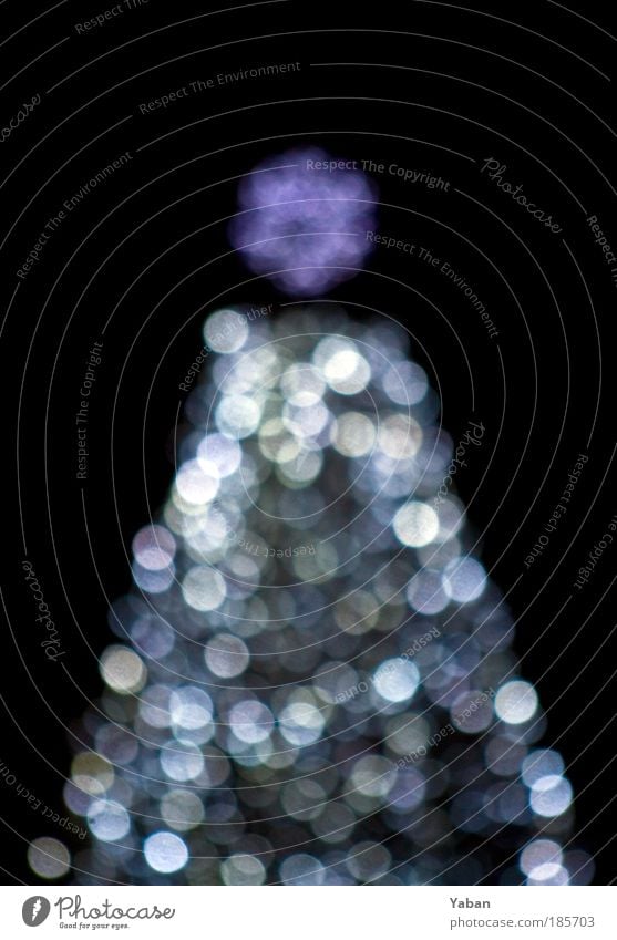 Weihnachtsbaum - Under the Xmas tree Feste & Feiern Show Baum Dekoration & Verzierung Kerze Zeichen glänzend leuchten violett schwarz silber weiß