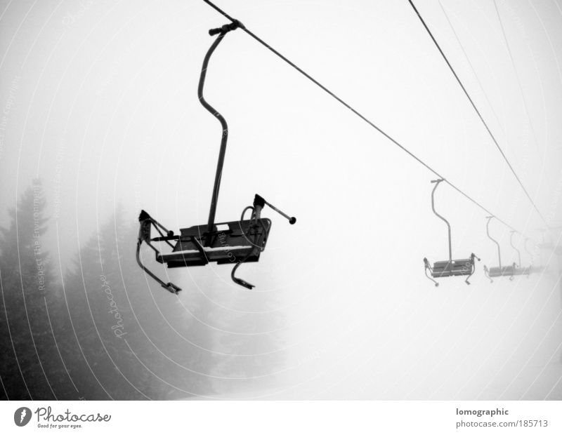 TALFAHRT Skier Skipiste Sesselbahn Natur Winter Nebel Schnee Schneefall Alpen Berge u. Gebirge Seilbahn Skilift Freiheit Schwarzweißfoto Außenaufnahme