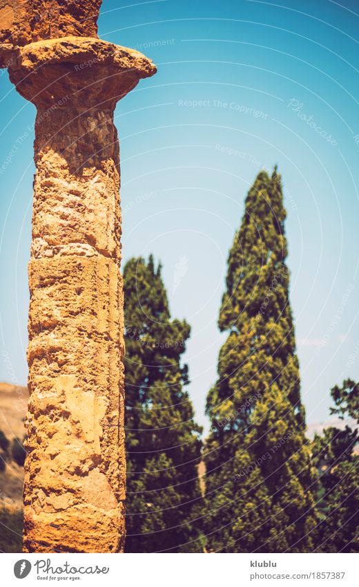 Tal der Tempel in Agrigent, Sizilien, Italien Ferien & Urlaub & Reisen Tourismus Ruine Architektur Stein alt historisch Religion & Glaube Agrigento Griechen
