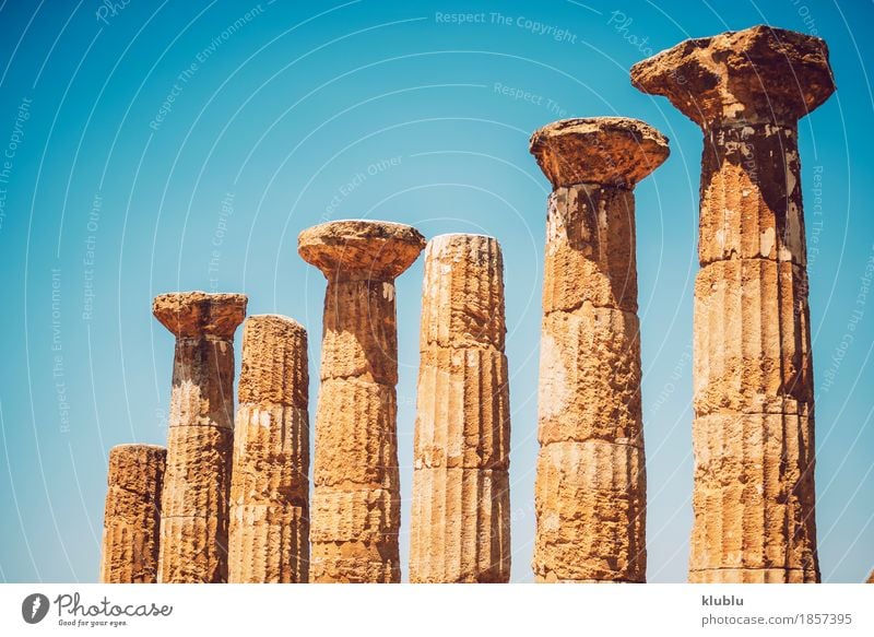 Tal der Tempel in Agrigent, Sizilien, Italien Ferien & Urlaub & Reisen Tourismus Ruine Architektur Stein alt historisch Religion & Glaube Agrigento Griechen