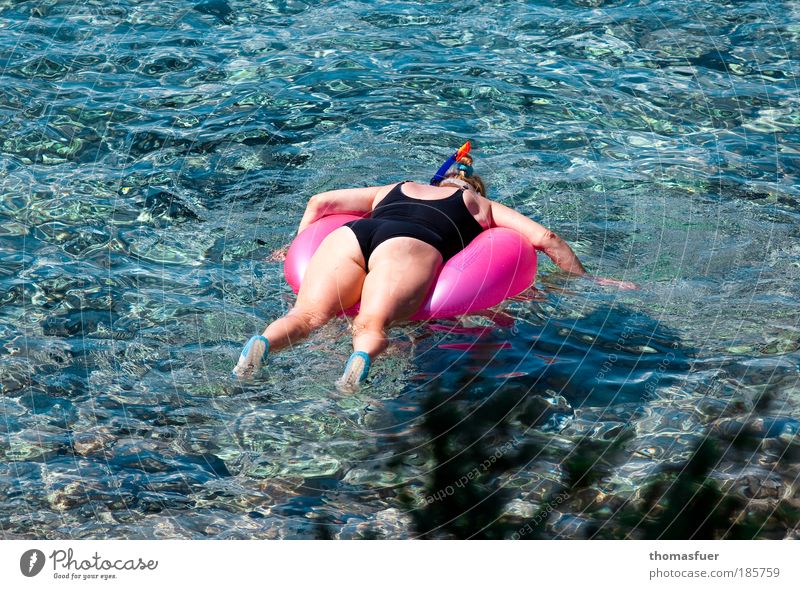 Naturbeobachtung Freude Freizeit & Hobby Sommer Sommerurlaub Sonne Meer Wassersport tauchen Mensch feminin Frau Erwachsene 1 beobachten Erholung genießen blau