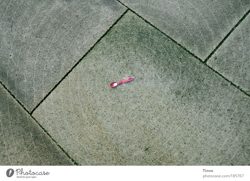 ausgelöffelt Löffel Straße Wege & Pfade einzigartig klein rosa Kindheit verloren Bürgersteig Betonplatte Babynahrung Babylöffel Milchrest Farbfoto