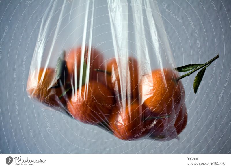 Agent Orange Lebensmittel Mandarine Tüte Plastiktüte Zweig Frucht Ernährung vitaminreich Vitamin Vitamin C Pflanze Dekoration & Verzierung Duft Gesundheit