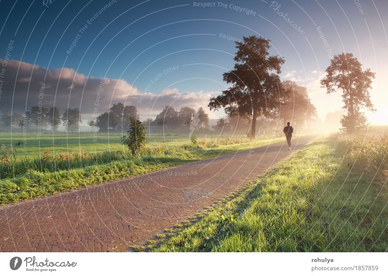 Läufer in der Landschaft während des nebelhaften Sommersonnenaufgangs Sonne Sport Joggen Mensch Mann Erwachsene Natur Himmel Nebel Gras Wiese Straße