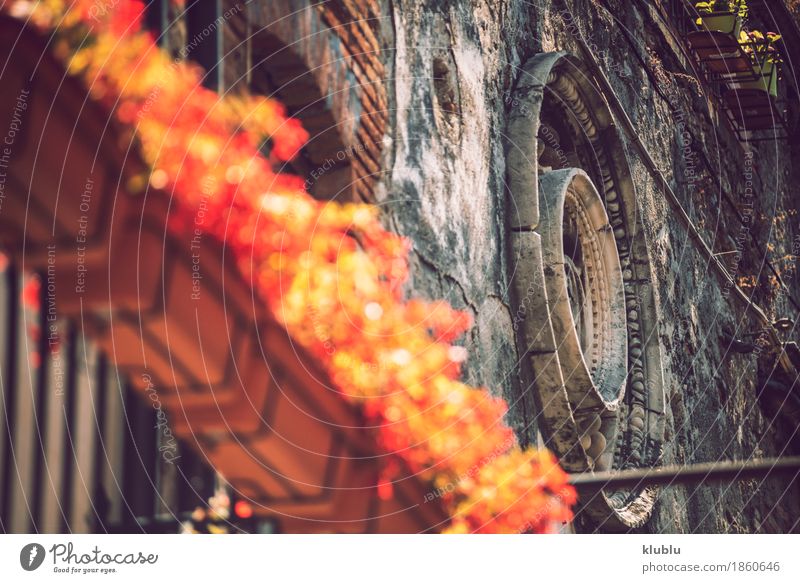Detailansicht der typischen städtischen sizilianischen Dekoration Dekoration & Verzierung Kunst Pflanze Blume Kirche Gebäude Architektur Balkon Ornament alt