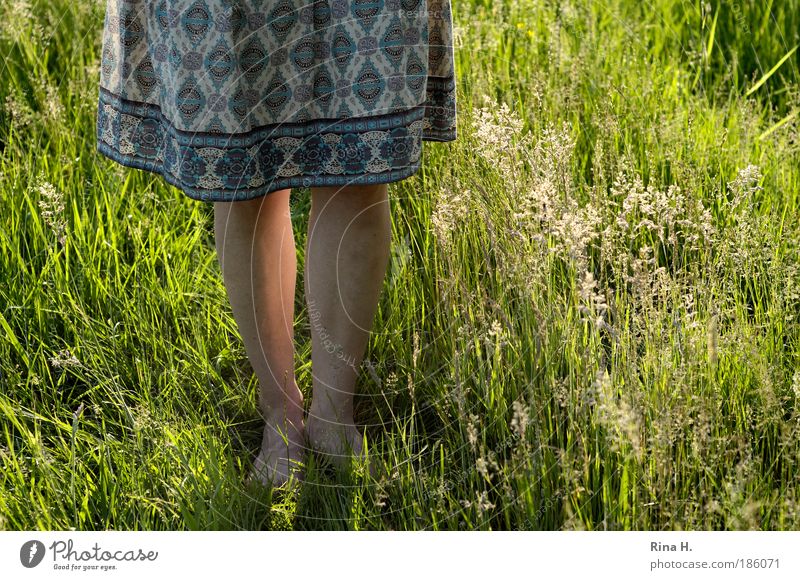 Der nächste Sommer kommt bestimmt ! Mädchen Junge Frau Jugendliche Beine Natur Landschaft Pflanze Sonne Gras Sträucher Moos Wiese Rock stehen warten authentisch
